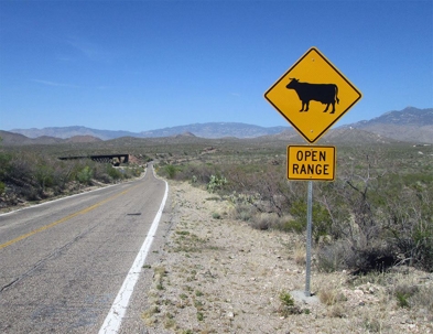 cow crossing sign with the words “open range” underneath it